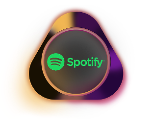 500x  Abonamente Spotify Premium