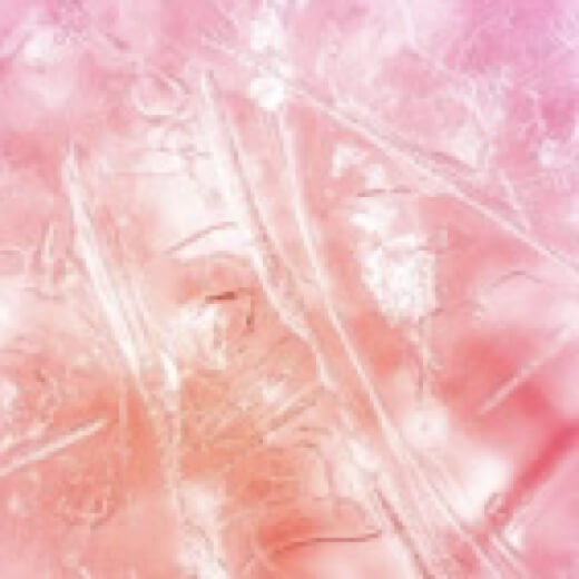 VEEBA Coral Pink