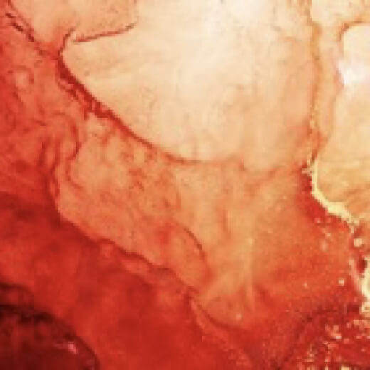 VEEBA Red